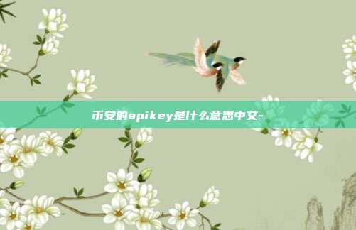 币安的apikey是什么意思中文-