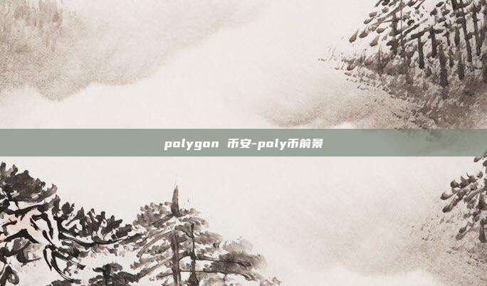 polygon 币安-poly币前景