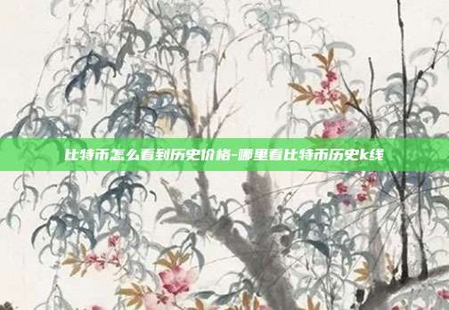 比特币怎么看到历史价格-哪里看比特币历史k线