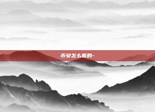 币安怎么看的-