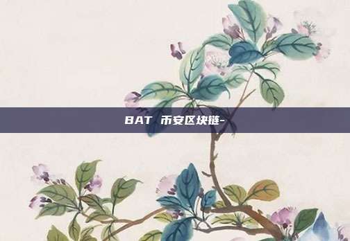 BAT 币安区块链-