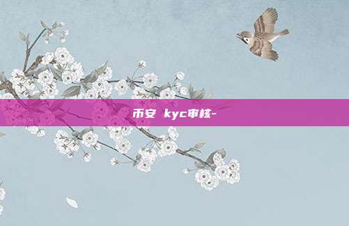 币安 kyc审核-