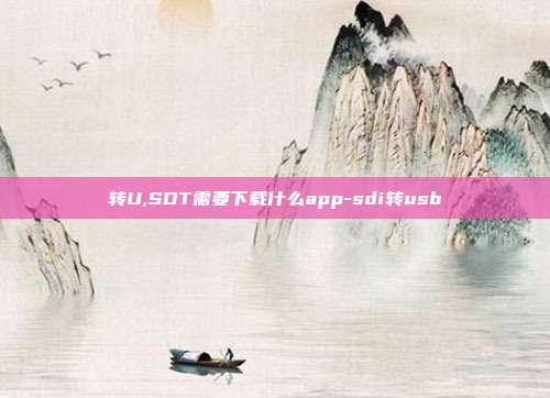 转U,SDT需要下载什么app-sdi转usb