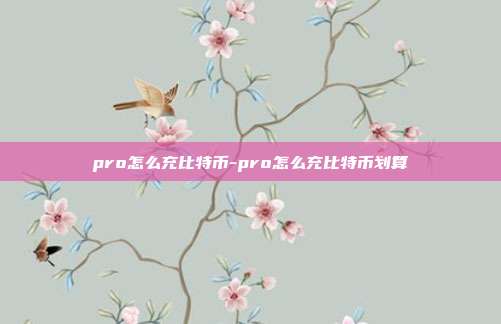 pro怎么充比特币-pro怎么充比特币划算