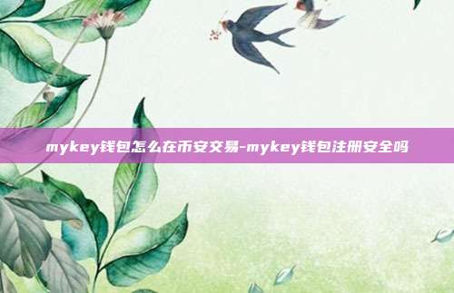 mykey钱包怎么在币安交易-mykey钱包注册安全吗