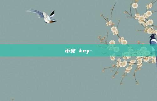 币安 key-