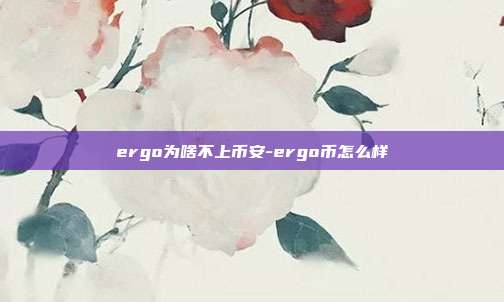 ergo为啥不上币安-ergo币怎么样