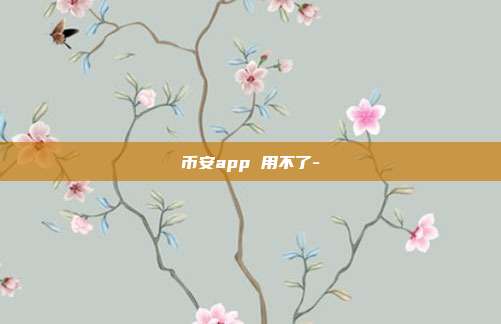 币安app 用不了-