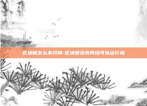 区块链怎么不开网-区块链没有网络可以运行吗