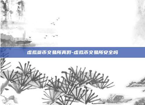 虚拟货币交易所真假-虚拟币交易所安全吗