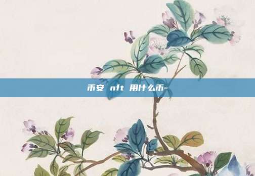 币安 nft 用什么币-