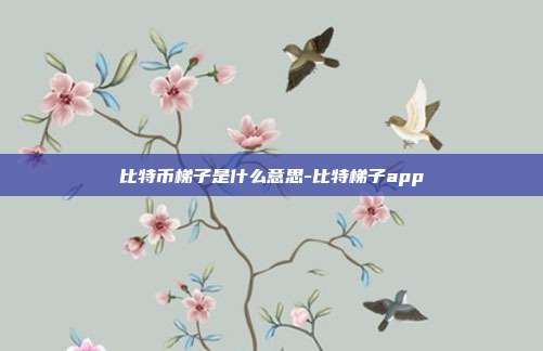 比特币梯子是什么意思-比特梯子app