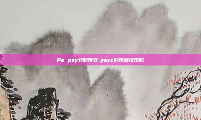 Pe pay划到币安-payc的币能提现吗