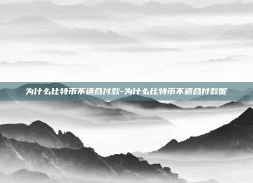 为什么比特币不适合付款-为什么比特币不适合付款呢