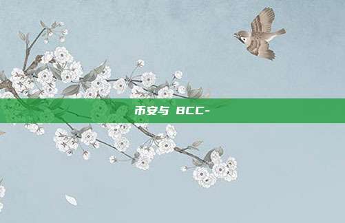 币安与丅BCC-