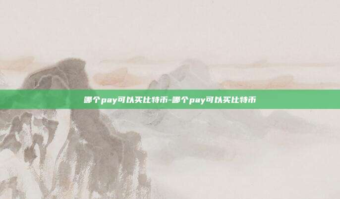 哪个pay可以买比特币-哪个pay可以买比特币