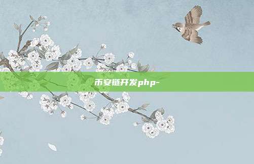 币安链开发php-