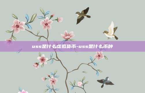 uss是什么虚拟货币-uss是什么币种