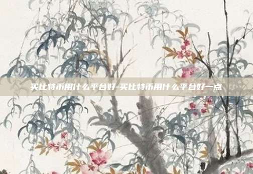 买比特币用什么平台好-买比特币用什么平台好一点