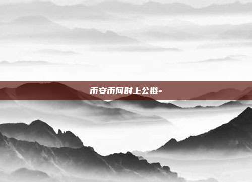 币安币何时上公链-