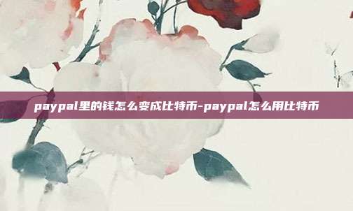 paypal里的钱怎么变成比特币-paypal怎么用比特币