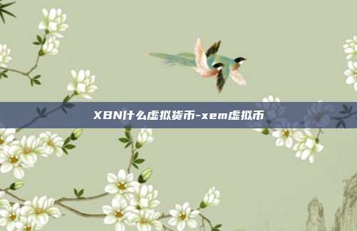 XBN什么虚拟货币-xem虚拟币