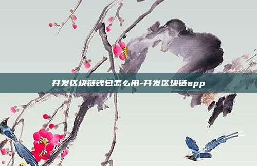 开发区块链钱包怎么用-开发区块链app