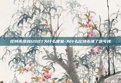 比特币涨钱USDT为什么便宜-为什么比特币涨了还亏钱