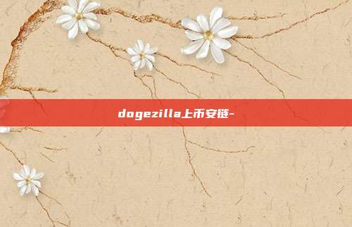 dogezilla上币安链-