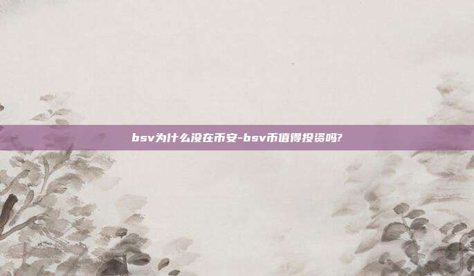 bsv为什么没在币安-bsv币值得投资吗?