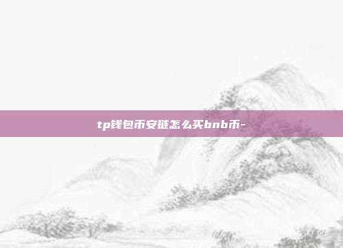 tp钱包币安链怎么买bnb币-