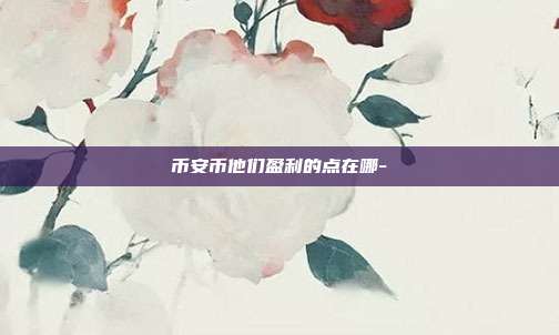 币安币他们盈利的点在哪-