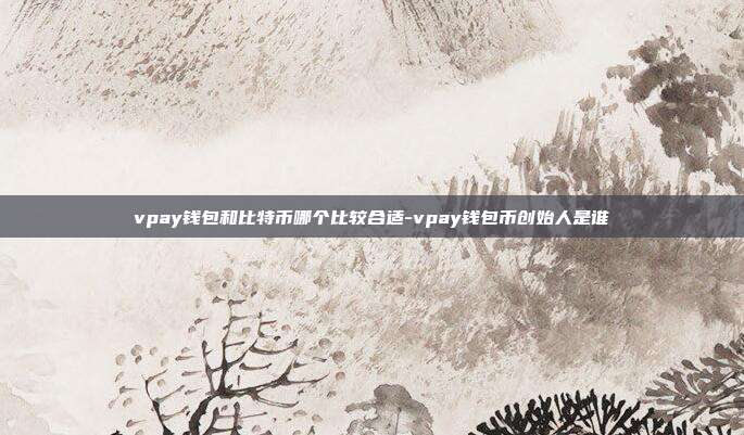 vpay钱包和比特币哪个比较合适-vpay钱包币创始人是谁