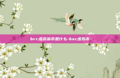 brc虚拟货币是什么-bsc虚拟币