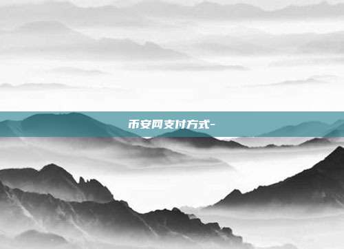 币安网支付方式-