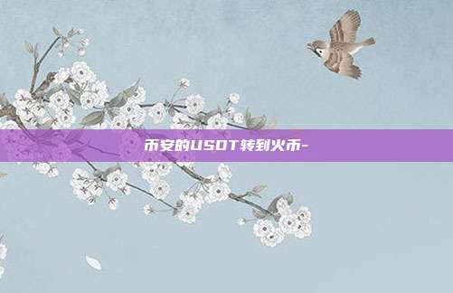 币安的USDT转到火币-