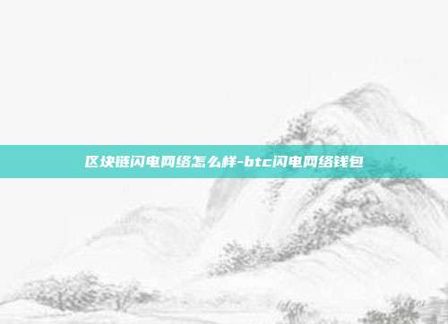 区块链闪电网络怎么样-btc闪电网络钱包