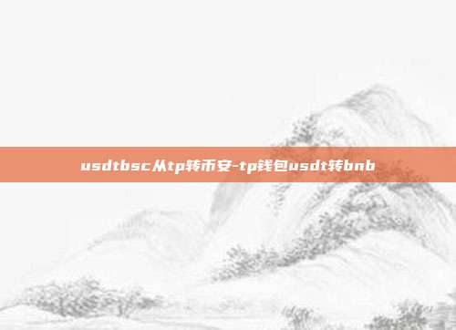 usdtbsc从tp转币安-tp钱包usdt转bnb