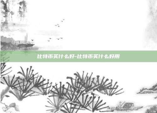 比特币买什么好-比特币买什么好用