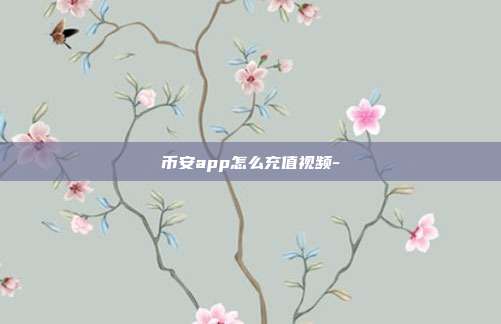 币安app怎么充值视频-