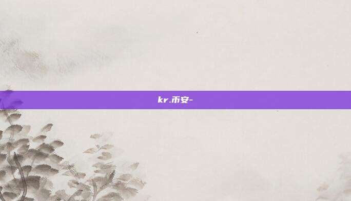 kr.币安-