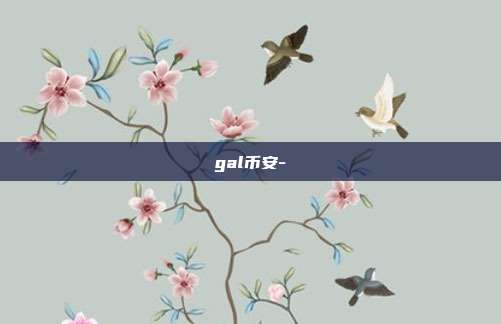 gal币安-