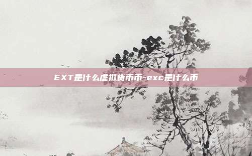 EXT是什么虚拟货币币-exc是什么币