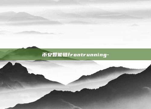 币安智能链frontrunning-