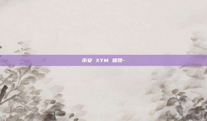 币安 XYM 提现-