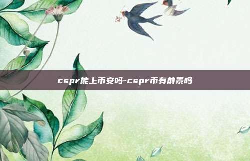 cspr能上币安吗-cspr币有前景吗