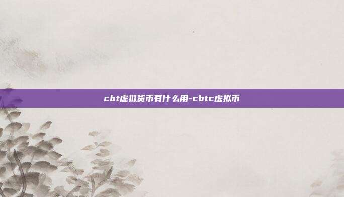 cbt虚拟货币有什么用-cbtc虚拟币