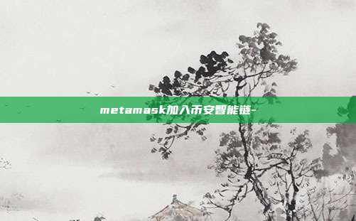 metamask加入币安智能链-