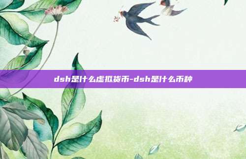 dsh是什么虚拟货币-dsh是什么币种