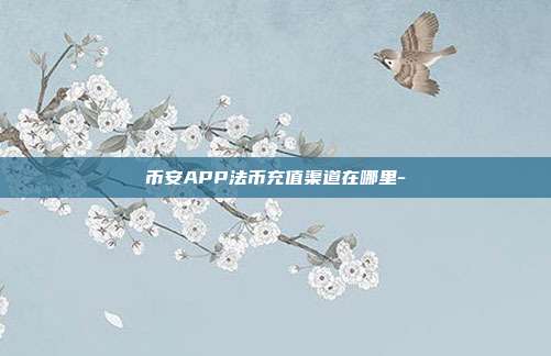 币安APP法币充值渠道在哪里-